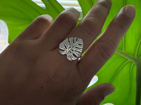 Atelys-普罗维登西亚莱斯必去景点