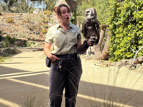 圣地亚哥野生动物公园-埃斯孔迪多必去景点
