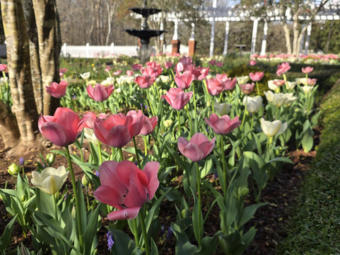 State Botanical Garden of Georgia-阿森斯必去景点