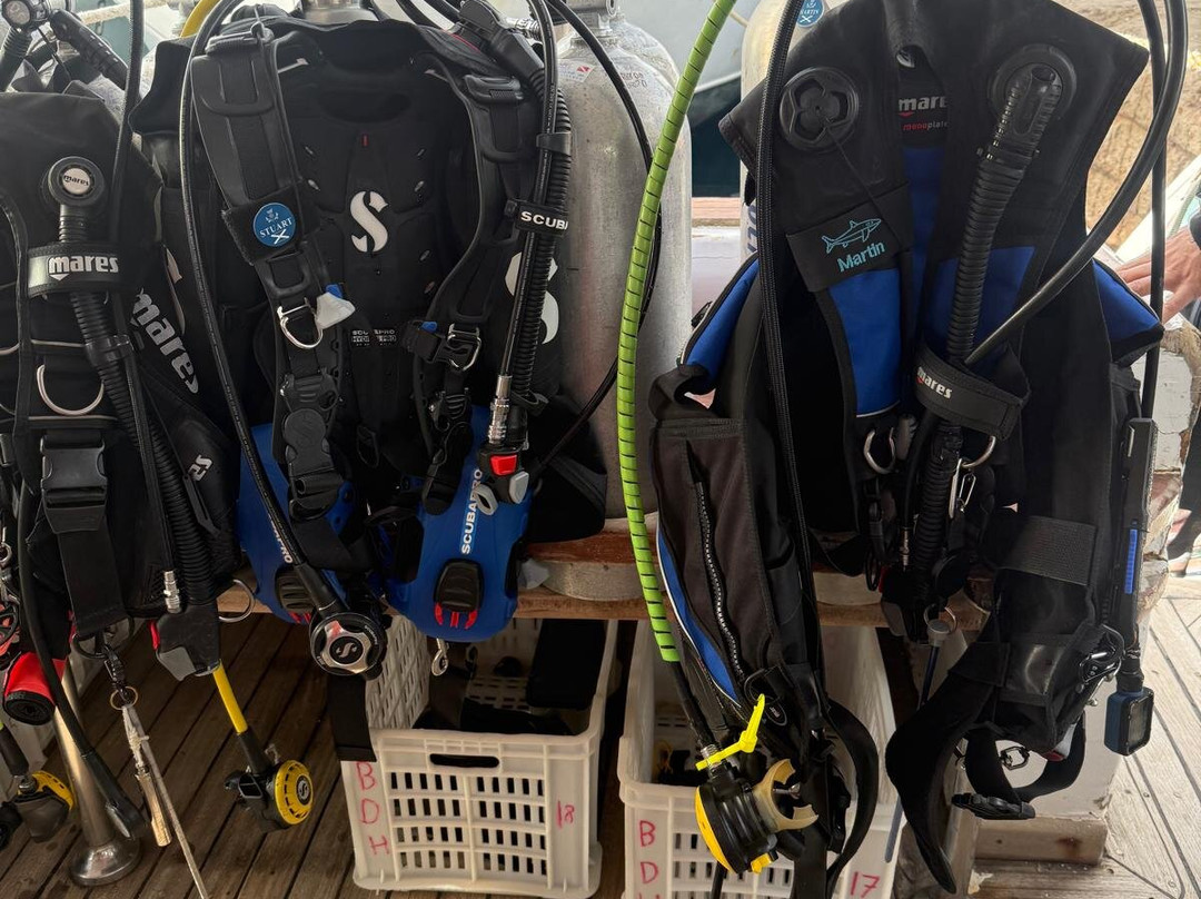 British Diving Hurghada-赫尔格达必去景点