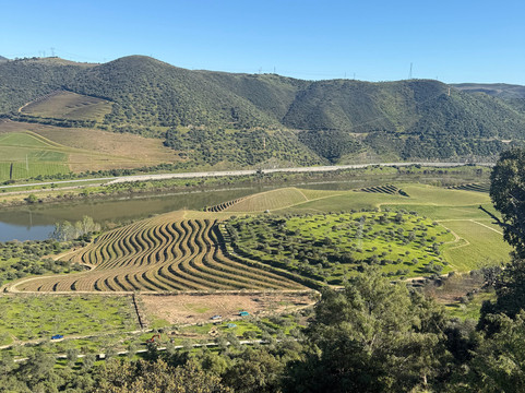 Quinta do Vale Meao-Vila Nova de Foz Coa必去景点
