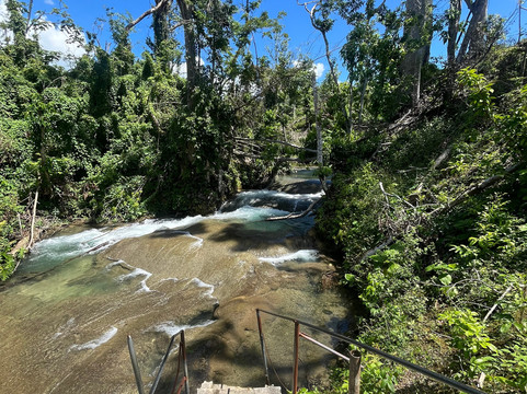 Island Turf Tours-内格里尔必去景点