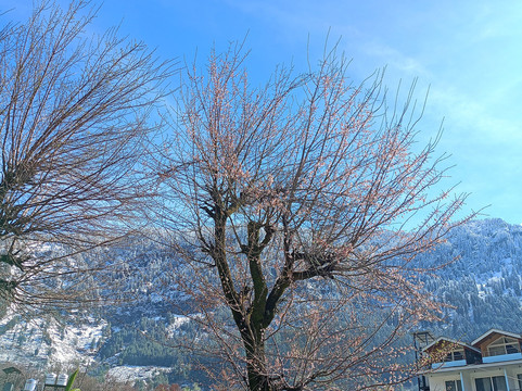 伍德若克酒店主图