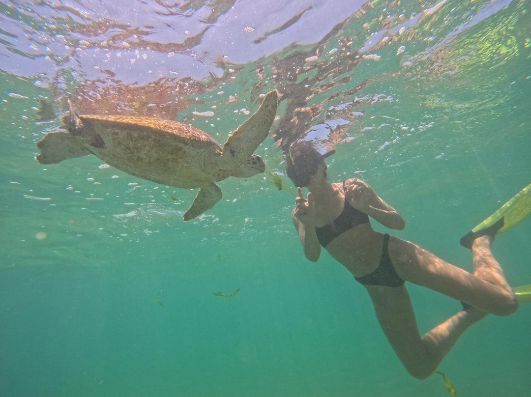 Mirissa Turtle Snorkeling Tours-美蕊沙必去景点