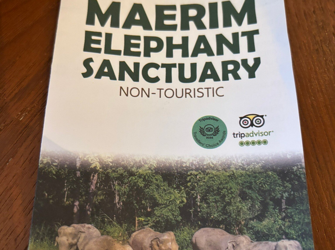 Maerim Elephant Sanctuary-夜林必去景点