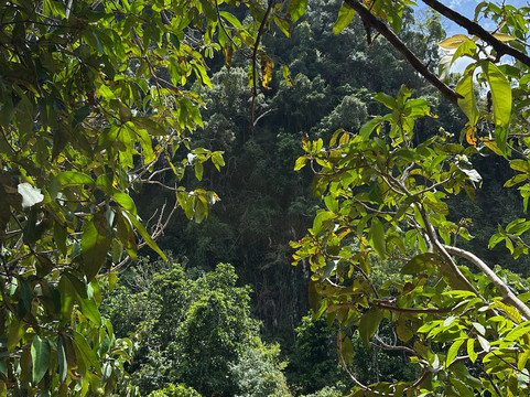 Thapom Klong Song Nam-甲米府必去景点