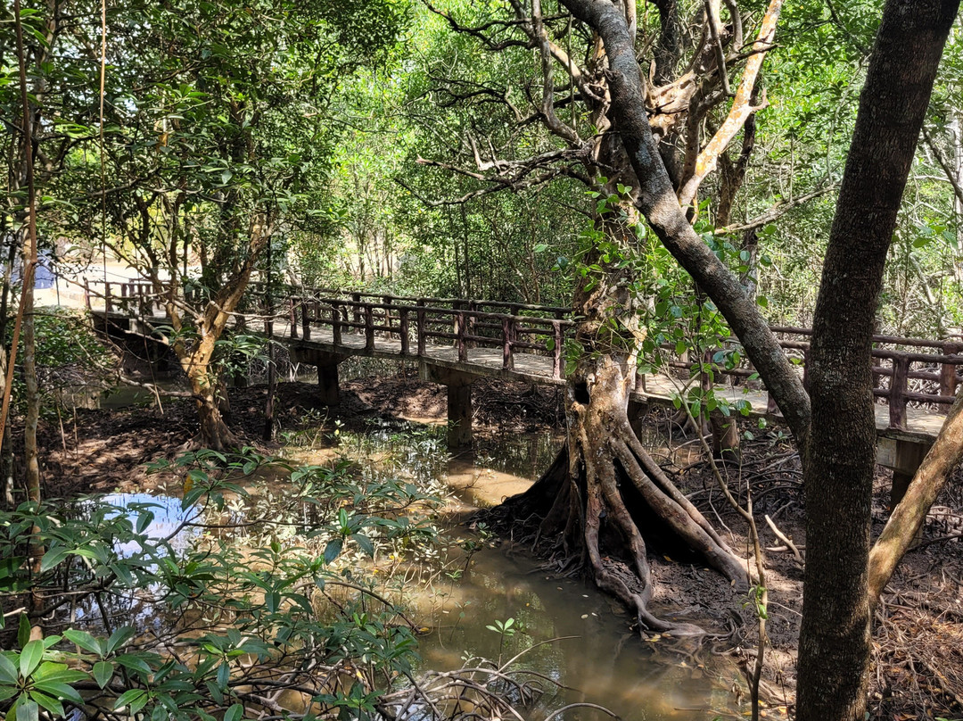 Krabi Urban Forest-Pak Nam必去景点