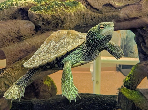 River Bend Nature Center-威奇托福尔斯必去景点