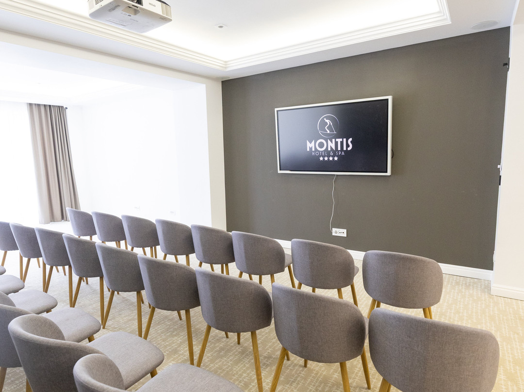 Montis Hotel & Spa主图