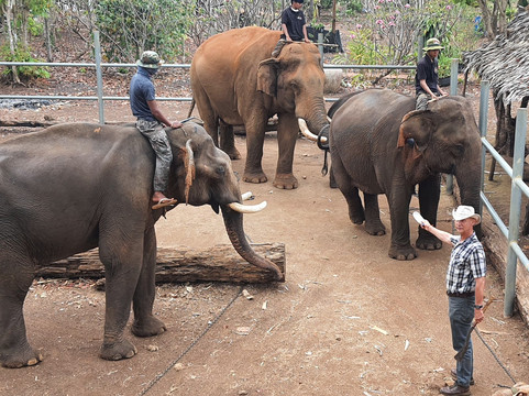 Airavata Elephant Foundation-邦隆必去景点