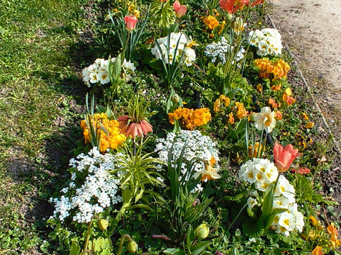Château-musée De Saumur-梭缪尔必去景点
