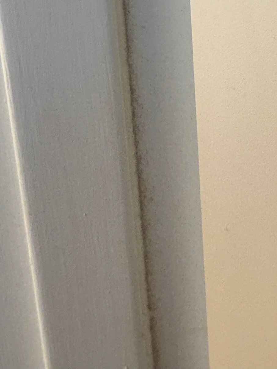 查尔斯顿市中心/河景万豪SpringHill Suites 酒店-浴室