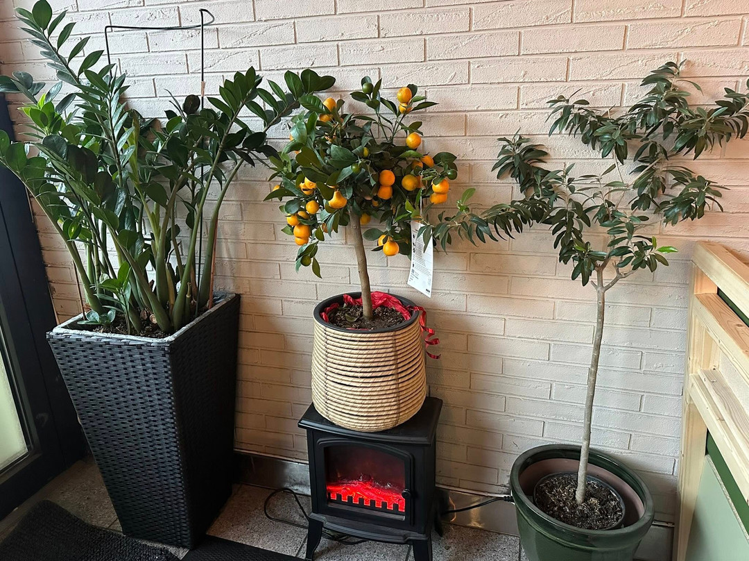 Eathappy Vegan主图