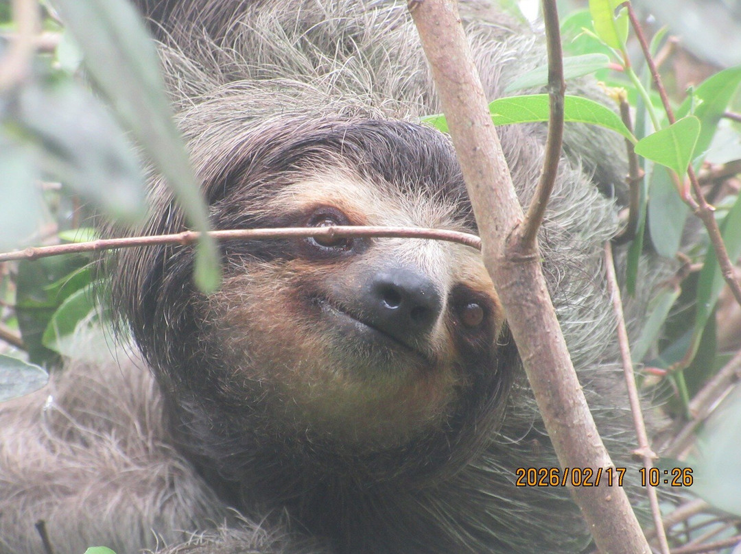 Tortuguero Canal-利蒙港必去景点