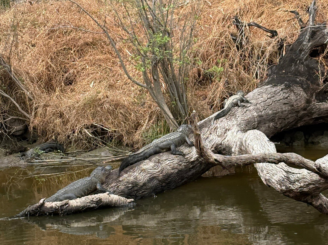 Peace River Charters-阿卡迪亚必去景点