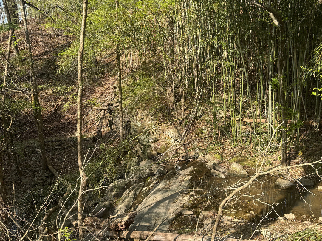 Lucky's Caddo River Canoe and Kayak Rental-Glenwood必去景点
