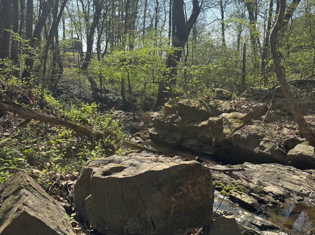 Lucky's Caddo River Canoe and Kayak Rental-Glenwood必去景点