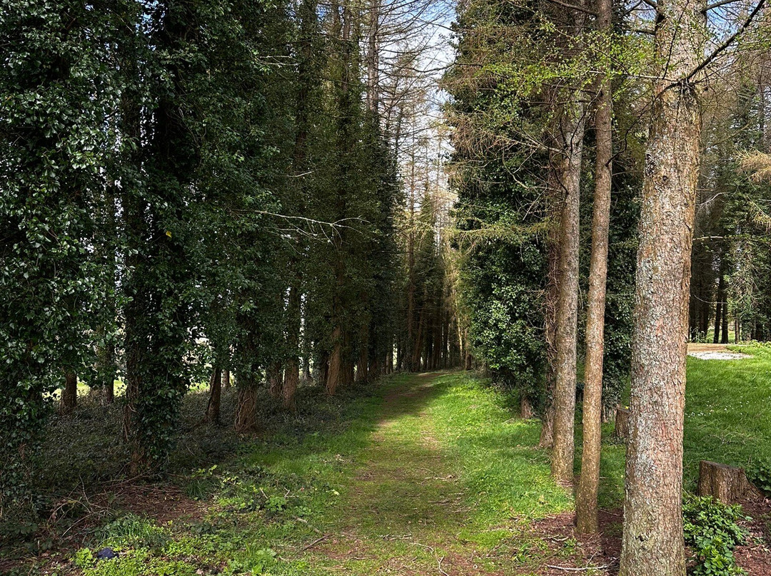 贝尔斯酒店主图