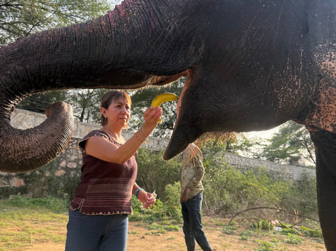 Elefanjoy Elephant Sanctuary-斋蒲尔必去景点