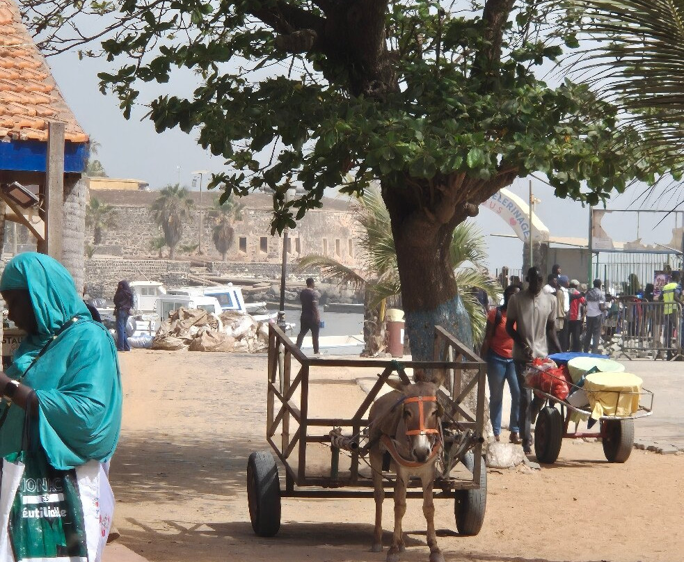 Island of Gorée-达喀尔必去景点