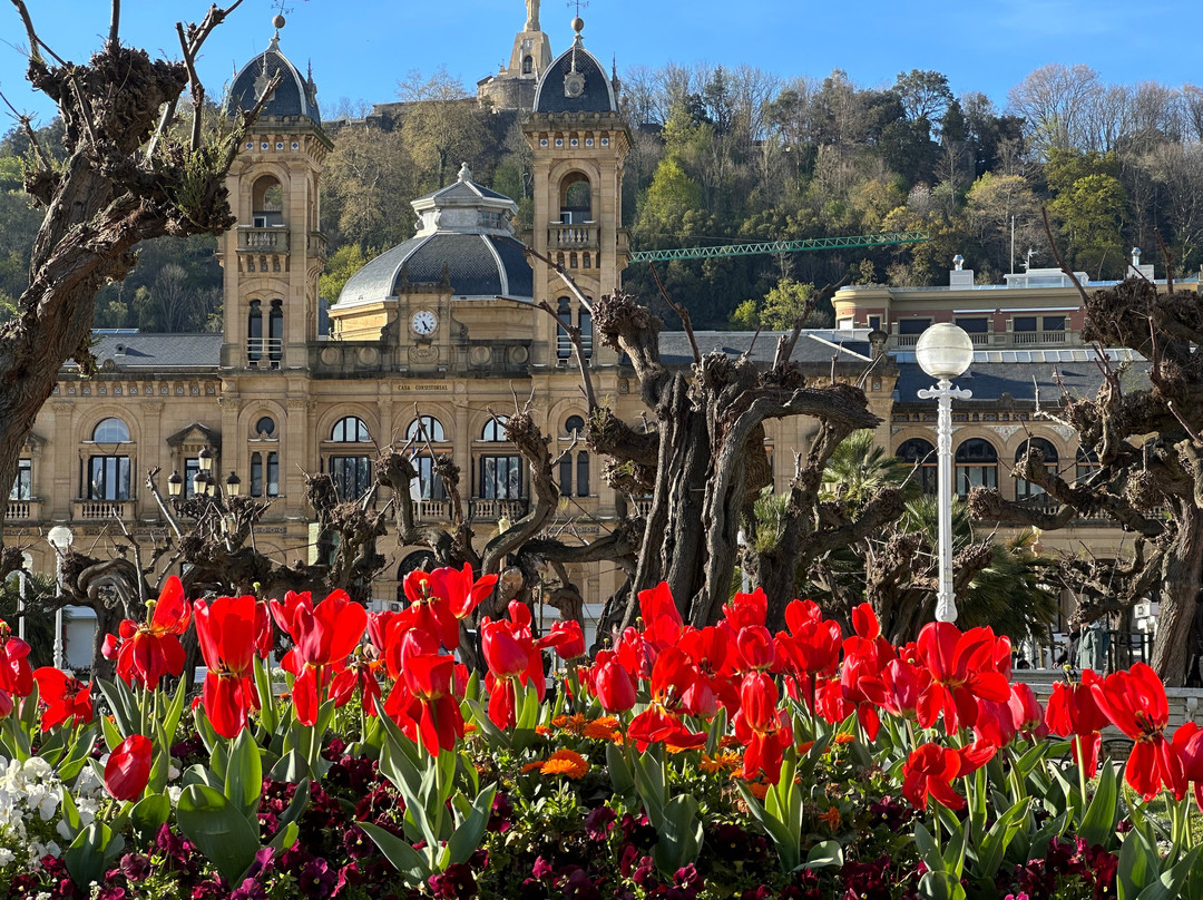 Alderdi Eder parkea-圣塞瓦斯蒂安必去景点