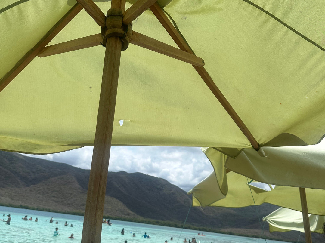 Playa La Cienaga-Ocumare de la Costa必去景点