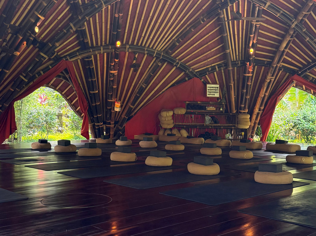 Alchemy Yoga & Meditation Center-Sayan必去景点