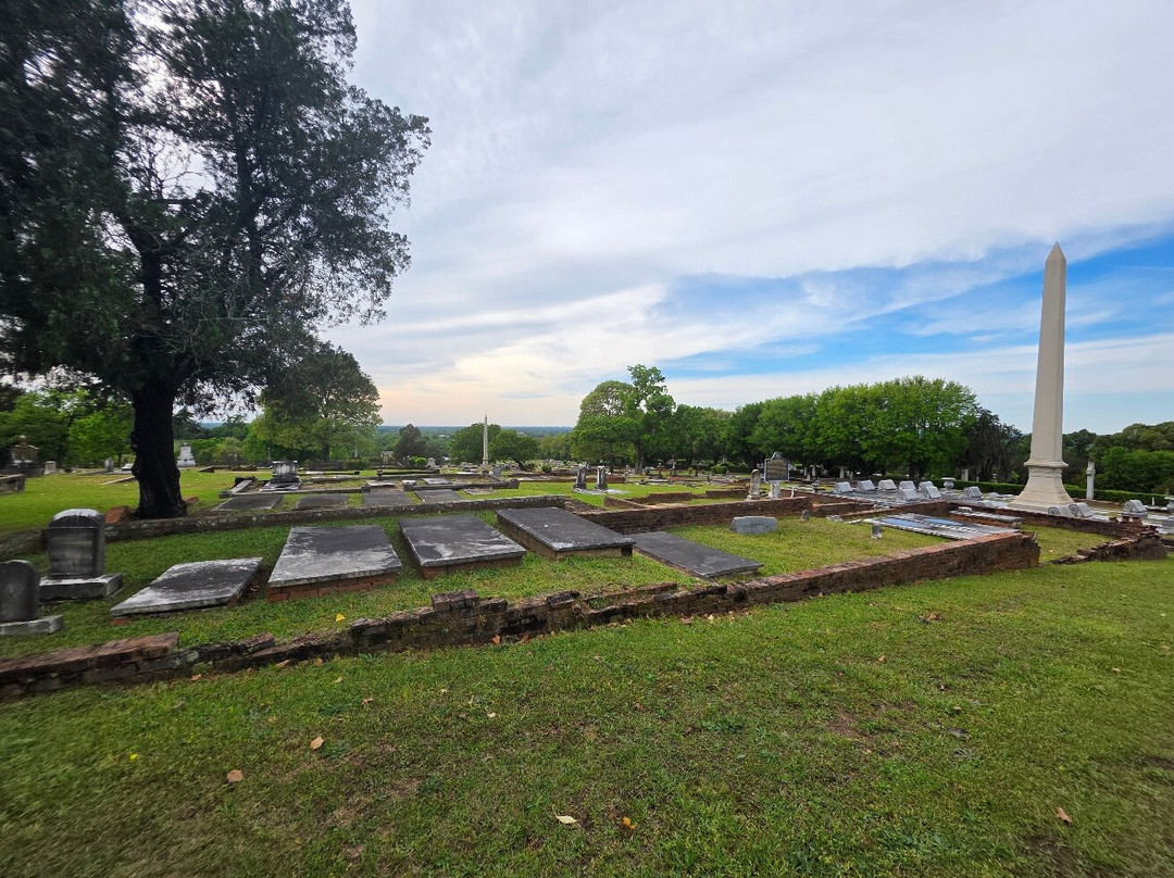 Hank Williams Memorial - Oakwood Annex Cemetery-蒙哥马利必去景点