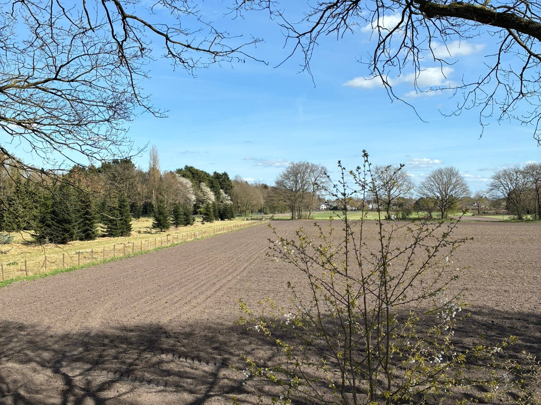 Geologisch Museum Hofland-Laren必去景点
