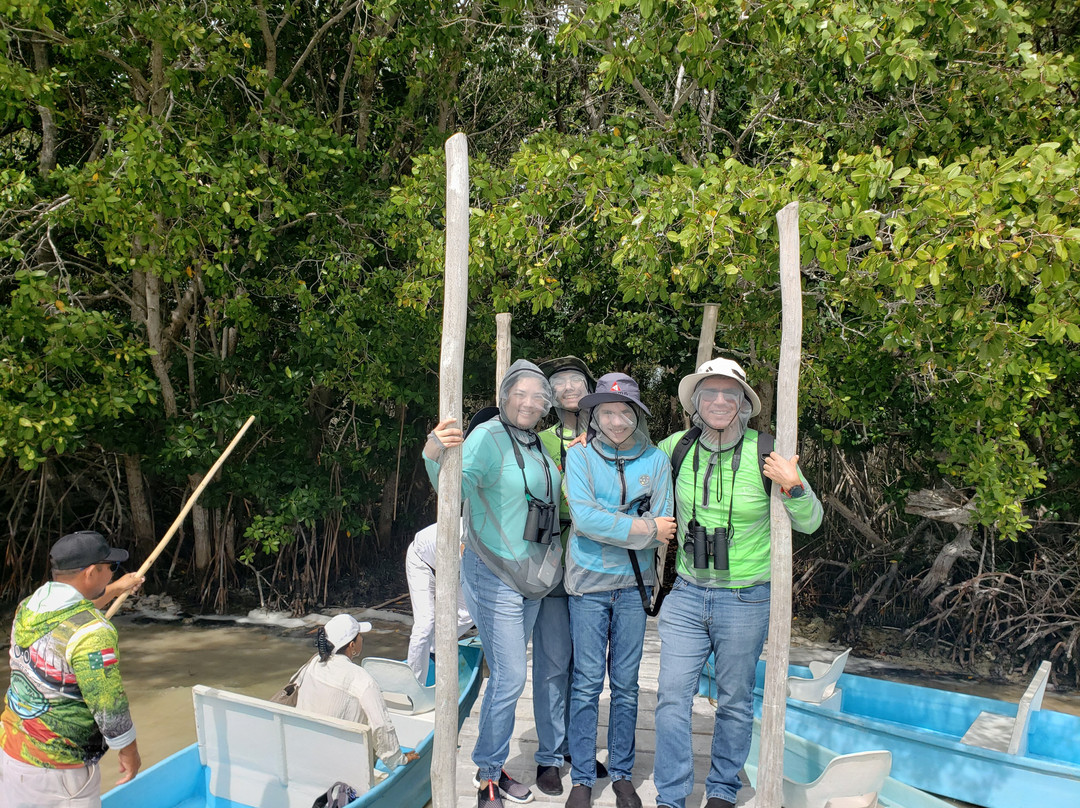 Guardianes De Los Manglares De Dzinintún-塞莱斯顿必去景点