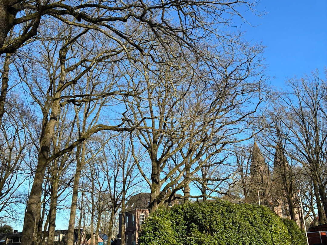 De Brink-Laren必去景点