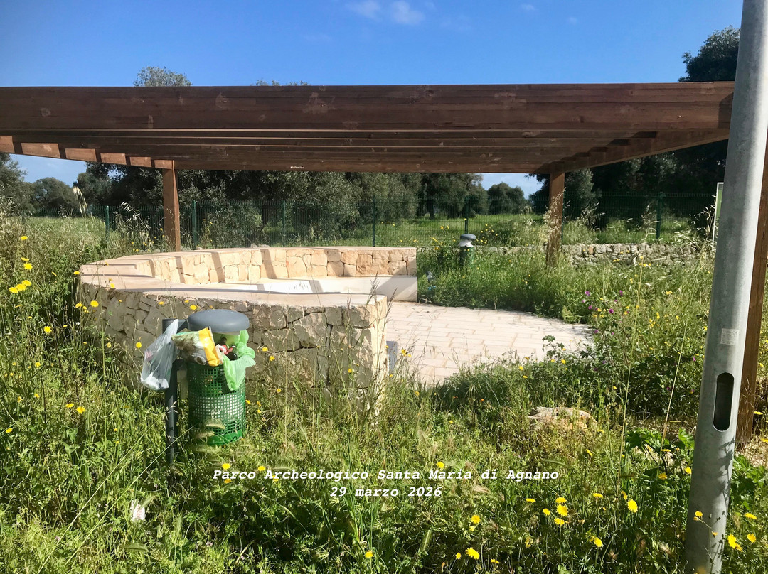 Parco Archeologico e Naturale di Santa Maria d'Agnano-奥斯图尼必去景点