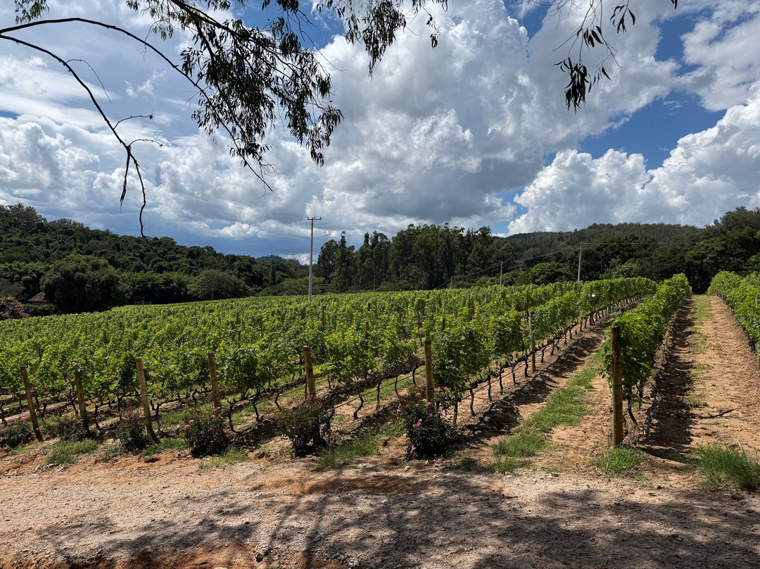Vinícola Guaspari-Espirito Santo Do Pinhal必去景点
