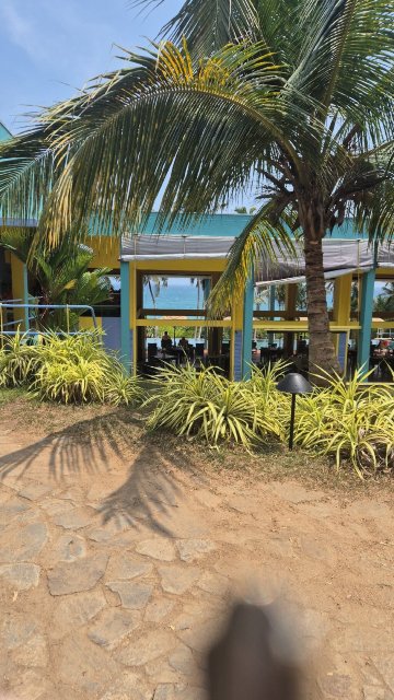 白金汉宫广场酒店-官方