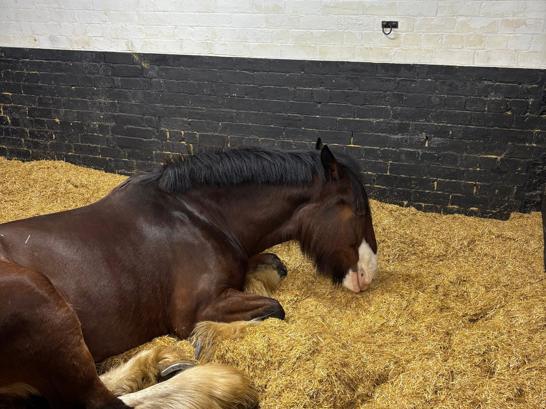 Hook Norton Brewery-Hook Norton必去景点
