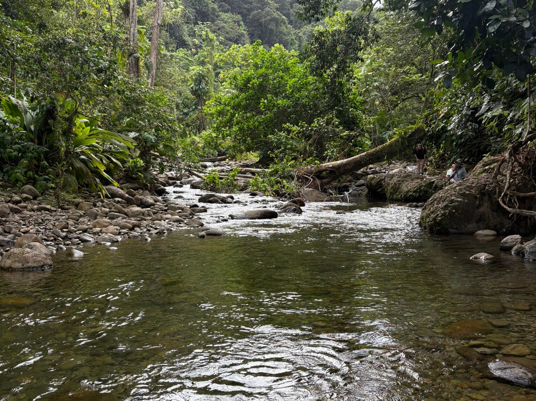 Canyon Moustique-Petit-Bourg必去景点