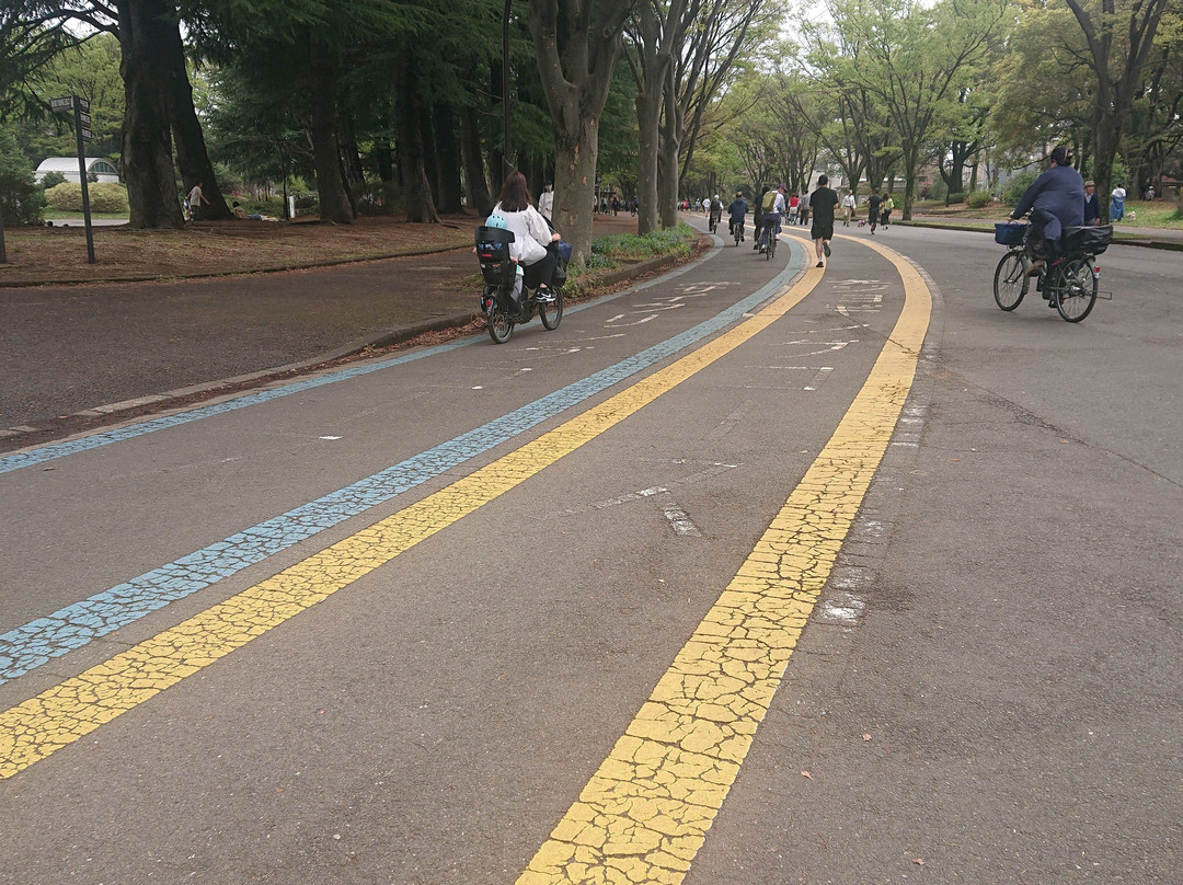 驹泽奥林匹克公园-世田谷区必去景点
