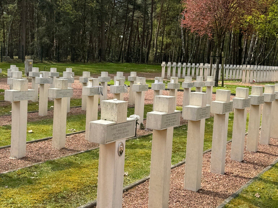 Polish Military Cemetery-洛默尔必去景点
