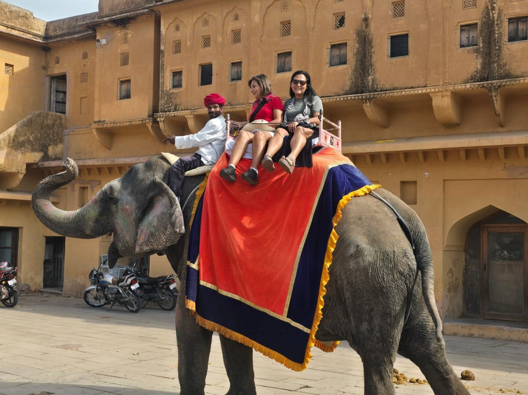 Tusk Travel Private Limited-新德里必去景点