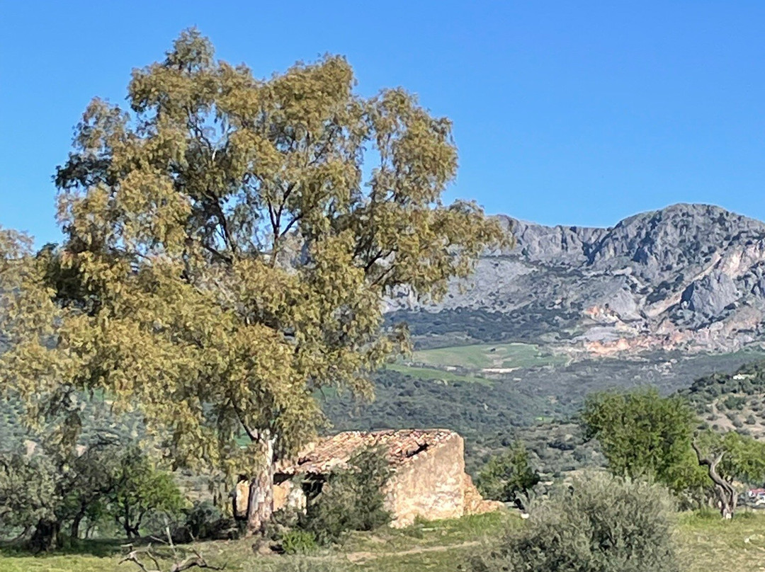 B&b Hacienda Riogordo主图