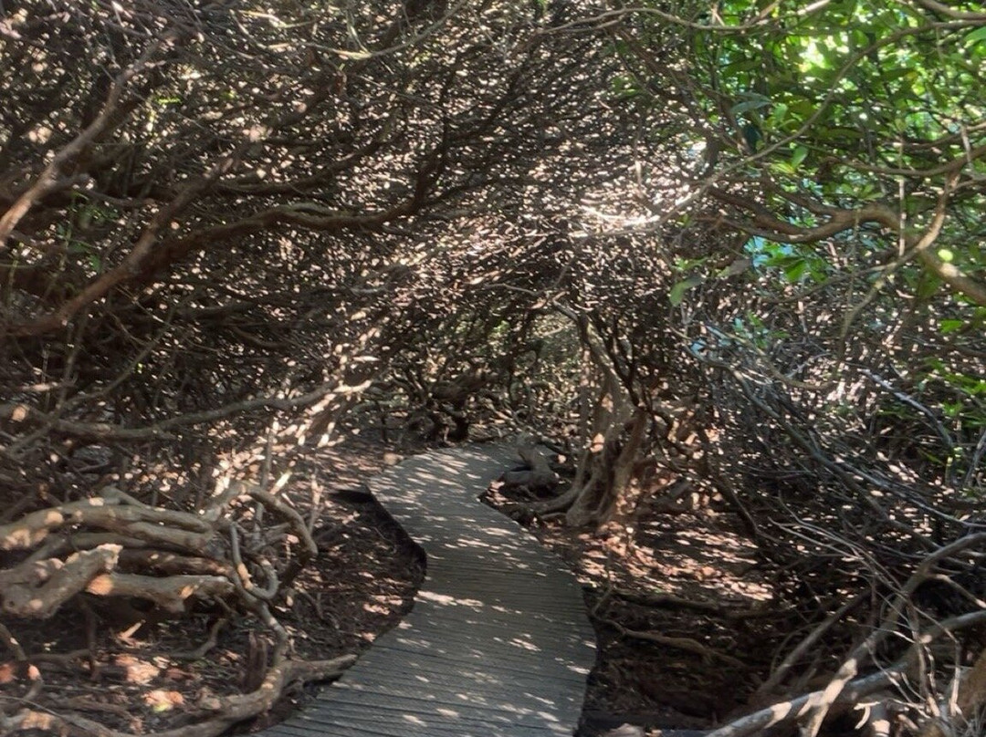 Beacon Hill Country Park-拉夫堡必去景点