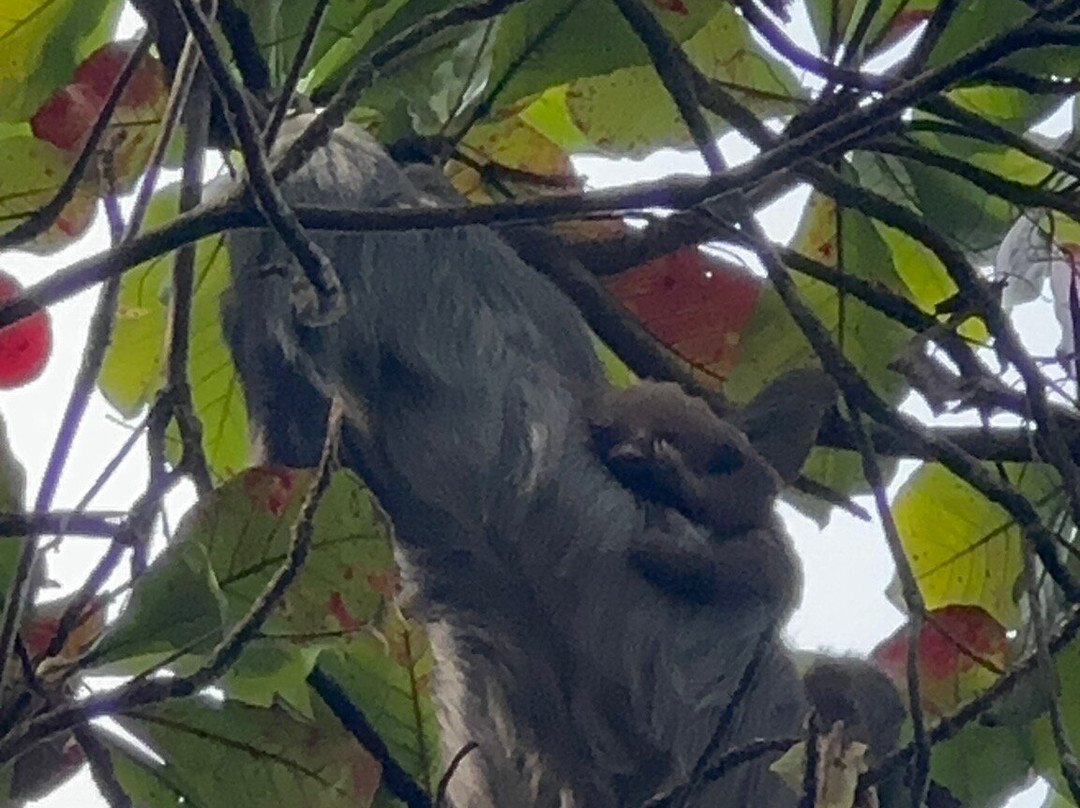 德芬贝胡科海滩酒店主图