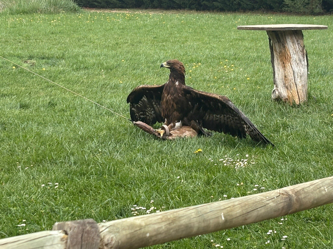 Tierra Rapaz-Calahorra必去景点