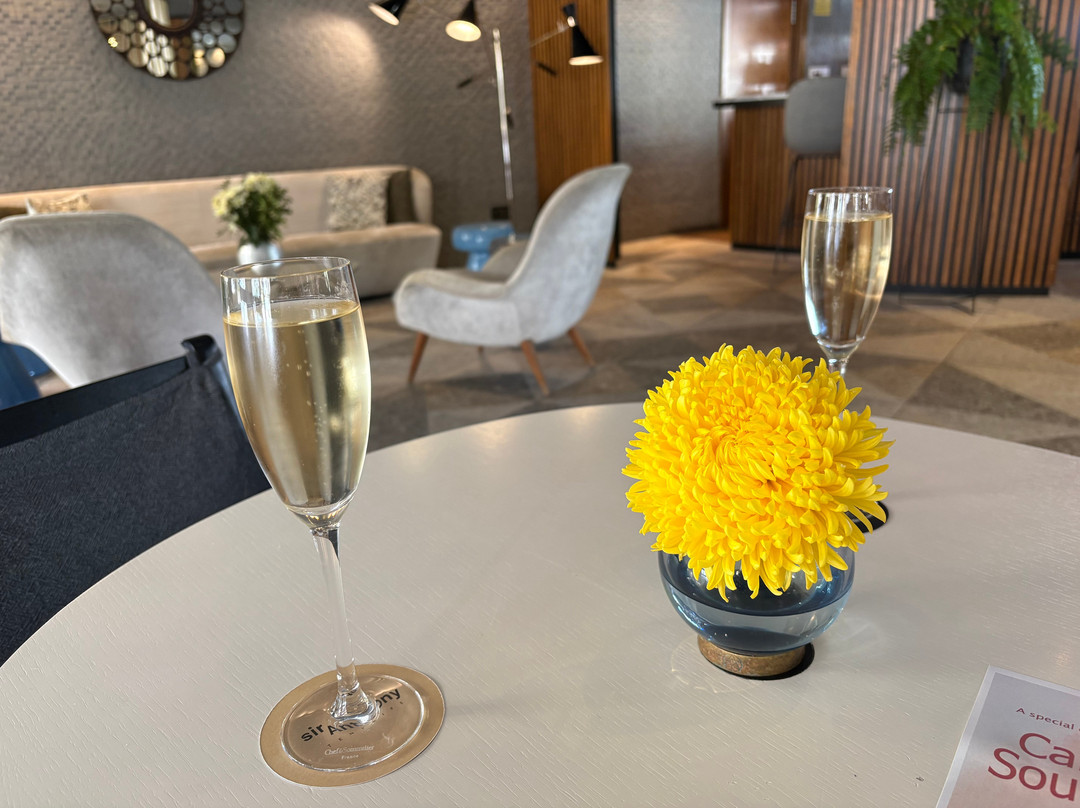 安东尼爵士酒店主图