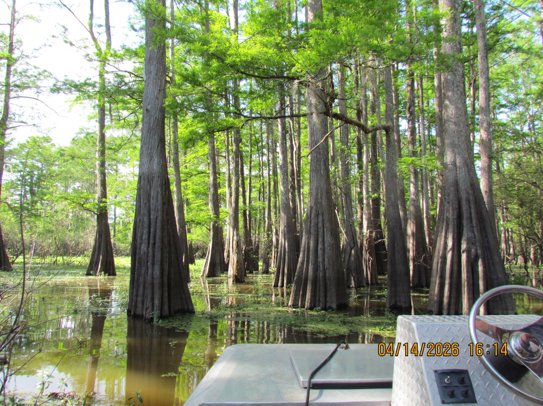 The Last Wilderness Swamp Tour-Plaquemine必去景点