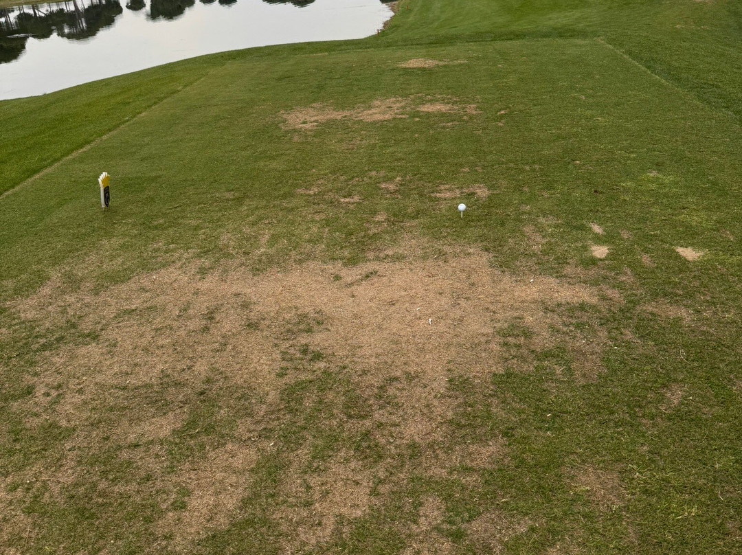 Gloria Golf Club-安塔利亚必去景点