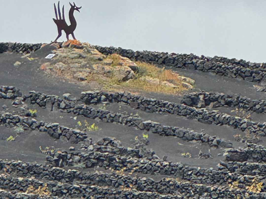 El Grifo - Museo del Vino-San Bartolome必去景点