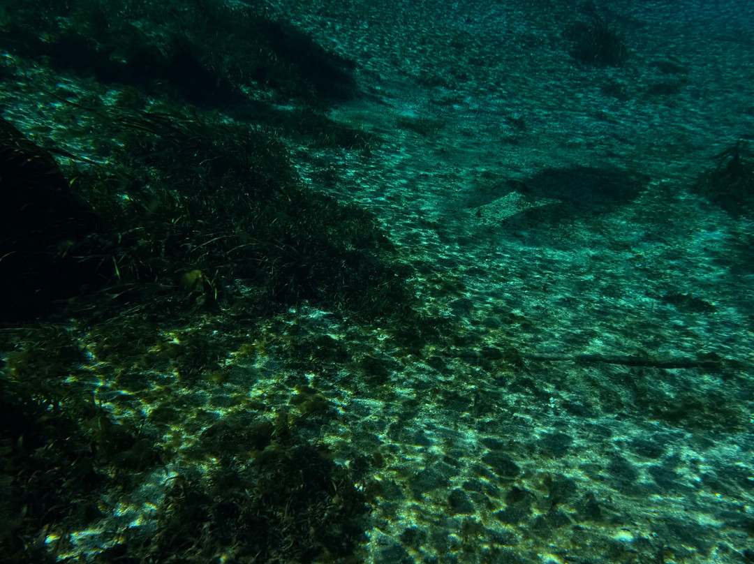 Kayaking Silver Springs-Silver Springs必去景点