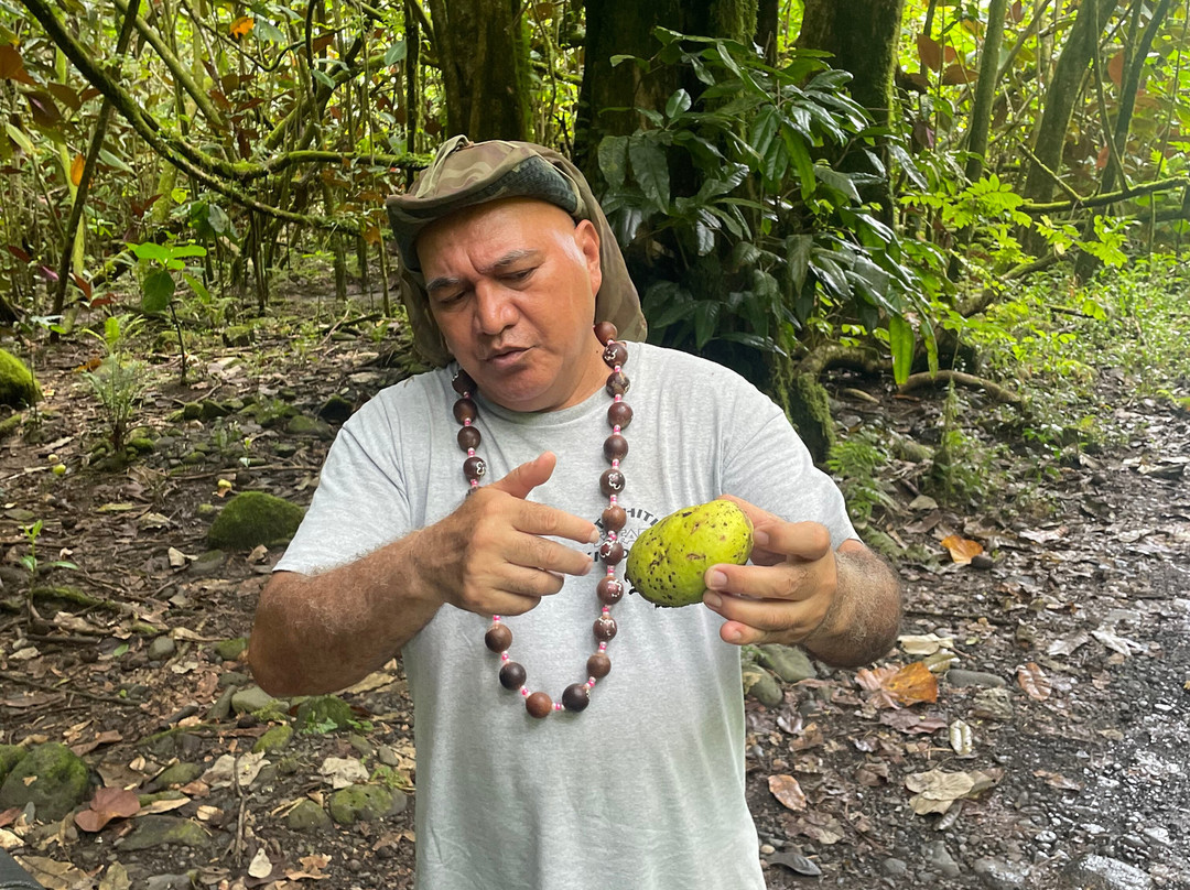 Karatu Expedition Safari-阿鲁埃必去景点