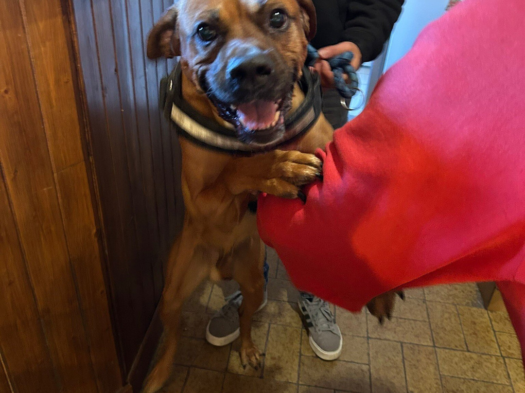 贝日里旅馆主图